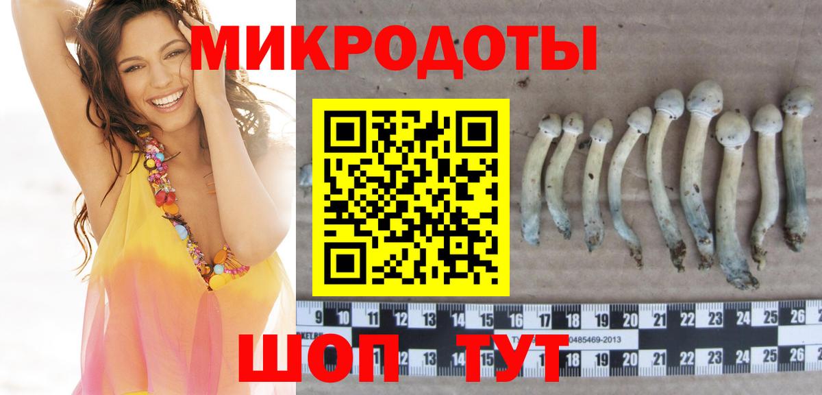 Галлюциногенные грибы Cubensis  Вход с VPN  Магадан  Галлюциногенные грибы MAGIC MUSHROOMS 